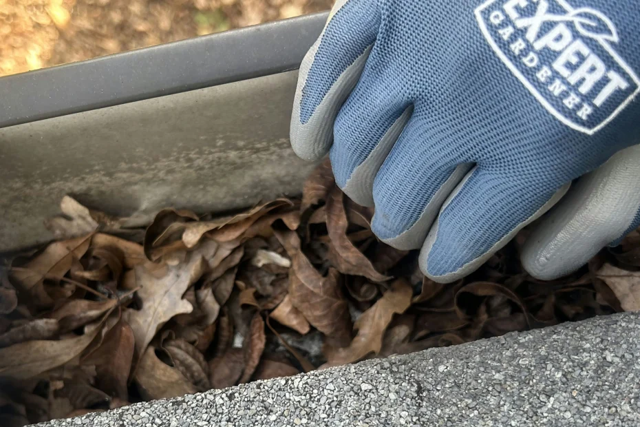 Gutter Cleaning Church Point